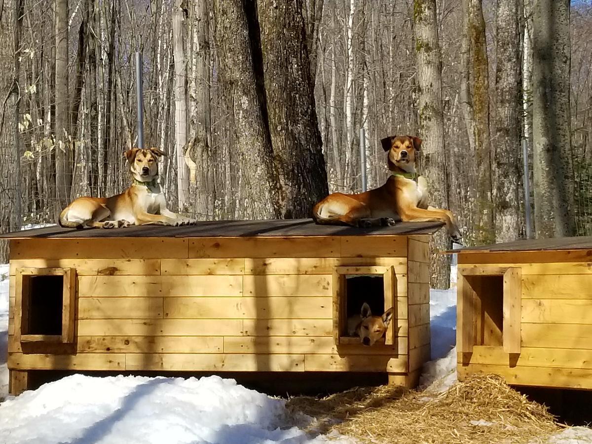 Les Cabines Nordik Des Piles Villa Saint-Jean-des Piles Kültér fotó