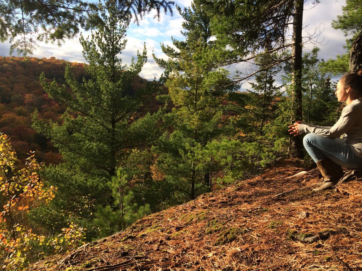 Les Cabines Nordik Des Piles Villa Saint-Jean-des Piles Kültér fotó