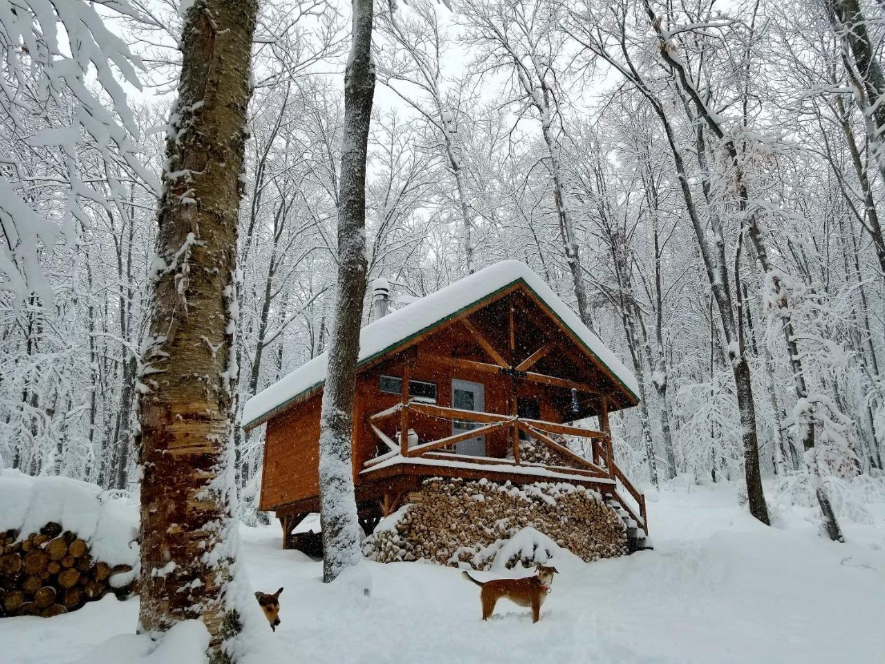 Les Cabines Nordik Des Piles Villa Saint-Jean-des Piles Kültér fotó
