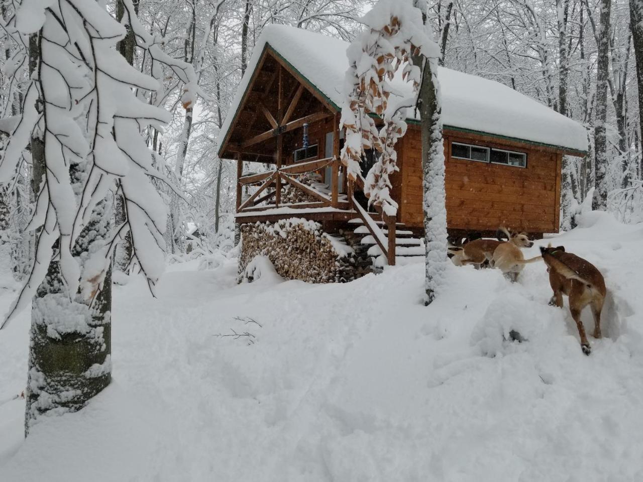 Les Cabines Nordik Des Piles Villa Saint-Jean-des Piles Kültér fotó