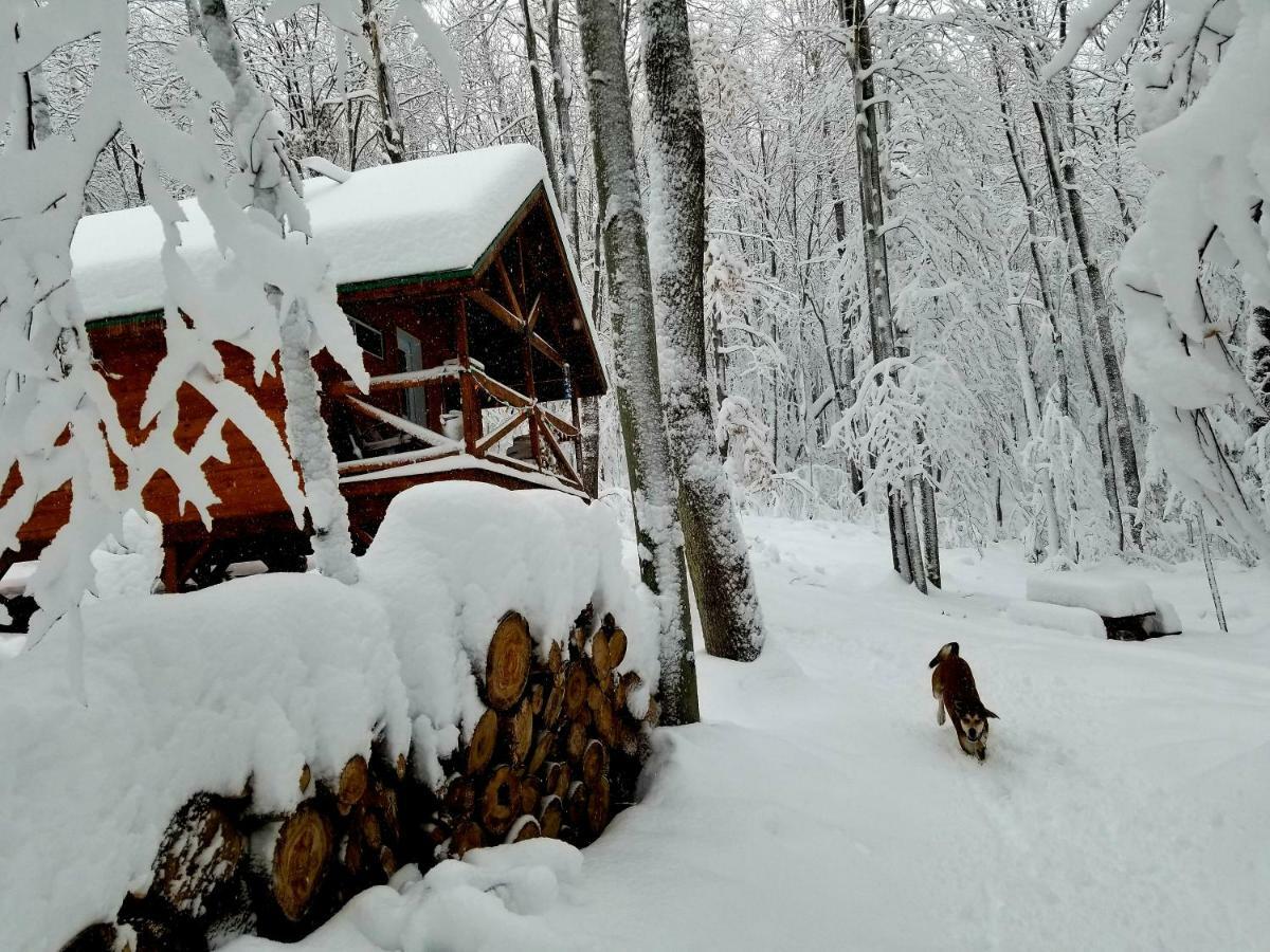 Les Cabines Nordik Des Piles Villa Saint-Jean-des Piles Kültér fotó